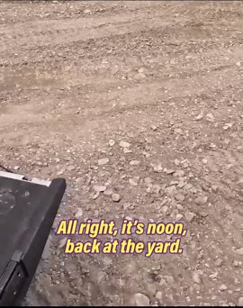 We Have To Clean This Patio Very Well!