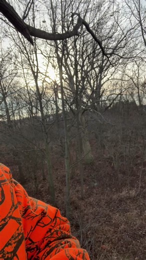 I’m just out here doing a little grocery shopping