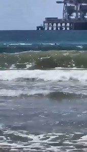 Un joven turista identificado como Barak Tzach perdió la vida tras ser atacado por un tiburón arenero el pasado 21 de abril en una playa de Hadera, en la costa norte de Israel, un incidente que ocurrió frente a otros bañistas, quienes grabaron la tragedia #hechoscolima | Periodico Hechos Pensamiento En Accion