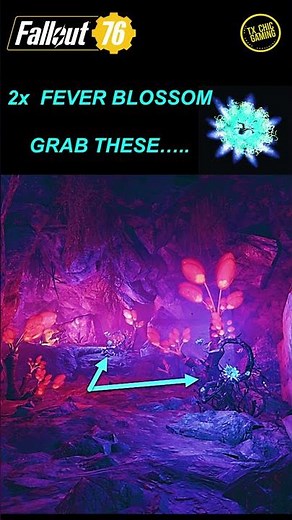 Fallout 76 Valentine's Floral Bouquet - Materials Locations