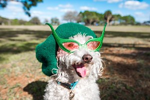 We’re Dressed and Ready for March 2025 Holidays