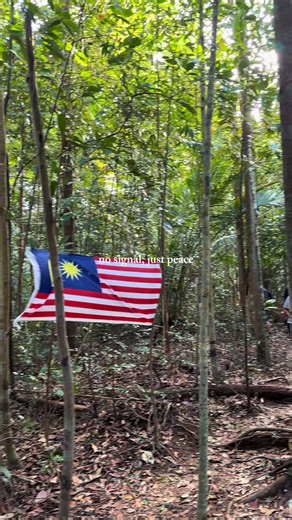 Hiking Day Adventure: Embrace Peaceful Vibes