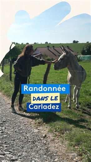 Randonnée dans le Cantal avec Roger Grimal, guide passionné, l'itinéraire serpente entre le Carladez, le puy de Vaurs, Juzelles, le Pont-sur-le-Goul. Vue à couper le souffle sur Aurillac et la vallée de la Cère. Le Carladez est un ancien comté de Carlat, donné à la famille Grimaldi de Monaco. Si vous aussi, vous souhaitez nous proposer votre itinéraire favori, vos paysages incontournables et vos anecdotes de marche. Envoyez votre idée de parcours à hors-sentiers@francetv.fr et on vous contacte �
