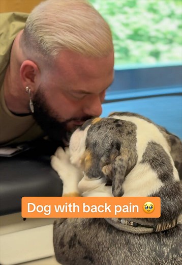Dog with Back Pain: Signs, Soothing Tips, and When to See a Vet