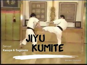 This how Jyu Kumite should be done! (Kasuya Sensei - Sugimoto Sensei)