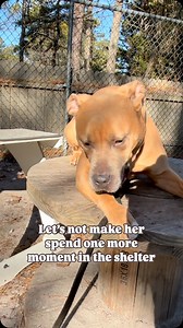 310 reactions · 214 shares | For half her life, Lotus has been...