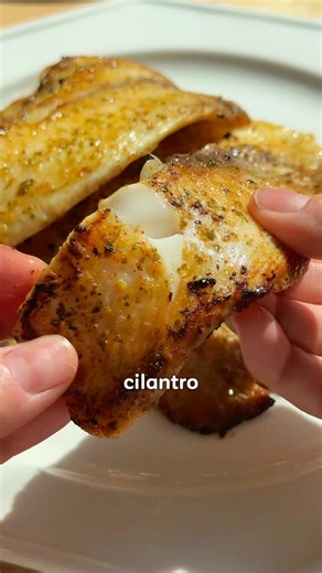 Lemon Cilantro Butter Fish Fillets #recipes