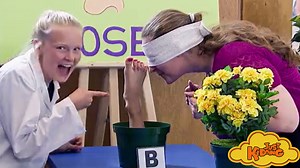 11K views · 380 reactions | Would you fall for this? | Just Kidding | Facebook