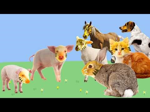 Real life Peppa Pig Parody Episode #20