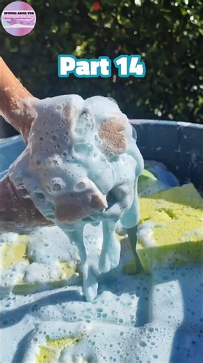 ASMR 🤤Part 14 sponge squeezing 🧽 Satisfying sponges #shorts #spongesqueezing #sponge #suds