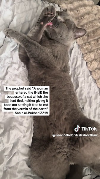 The Importance of Kindness in Islam