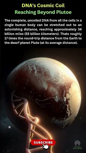 The mystery behind DNA's length- #HumanDNA, #DNAFacts, #CosmicDistance, #BiologyFacts