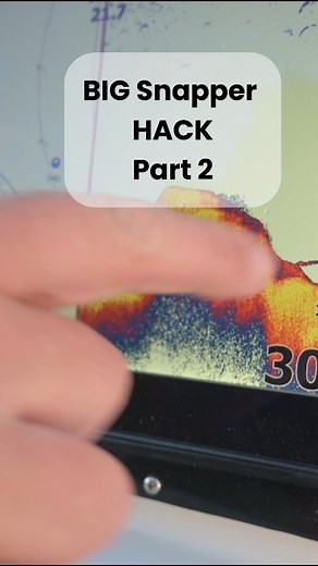 1.4K views · 110 reactions | Snapper LOVE a sinking lure or bait. The...
