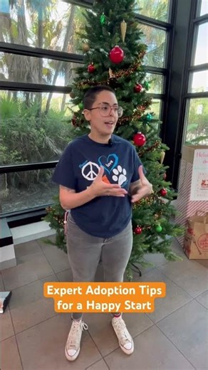 Expert Adoption Tips for a Happy Start from Broward County Animal Care #AdoptLove
