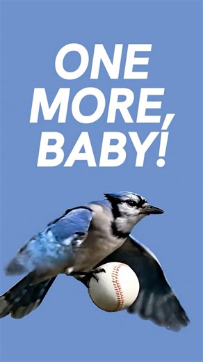 6.3K reactions · 2.5K shares | Canada’s team. The nation’s dream. The Toronto Blue Jays are one win away from being World Series champs — it’s time to bring it home!  #WantItAll #WorldSeries | Enercare | Facebook