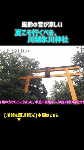 夏こそ行くべき！川越氷川神社 #川越氷川神社 #観光