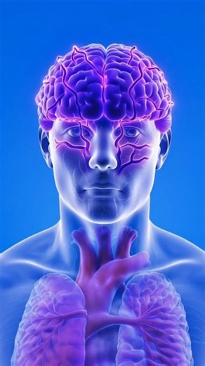 often forget even though it's only been a few seconds