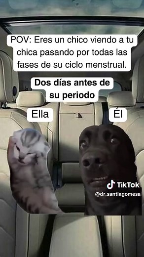 Ciclo Menstrual: Fases y Emociones Exploradas