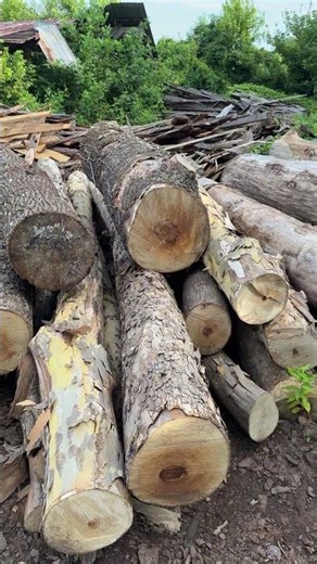 🔥 Behind the Scenes at Atlanta Fireplace Mantels! 🔥