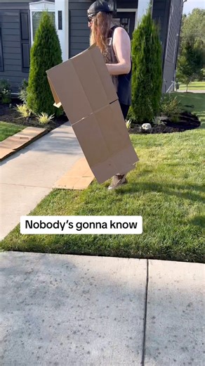 17M views · 271K reactions | Have you seen my no dig gardening hack videos? We used this technique to update our front walk with shrubs and pathway lighting. How do you think it turned out? Added curb appeal or nah? #diy #diygarden #diyhome #diyproject #gardeninghacks #gardentips #flowerbed #landscaping #diylandscaping #curbappeal #homediy #lifehacks #nobodysgonnaknow #nodig #nodiggarden #nodiggardening #landscapelighting | Brandon Gentry DIY | Facebook