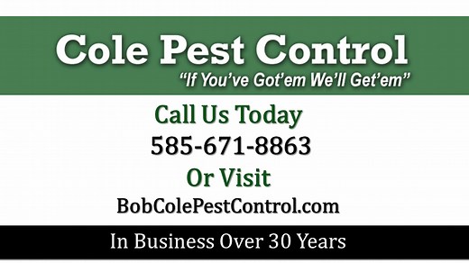 Cole Pest Control | Pest Control | Rochester NY