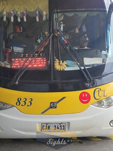East Bus Sights on TikTok