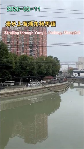 漫步上海浦东杨思镇｜Strolling through Yangsi, Pudong, Shanghai