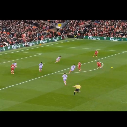 Hightlight Liverpool vs Brighton | Football match