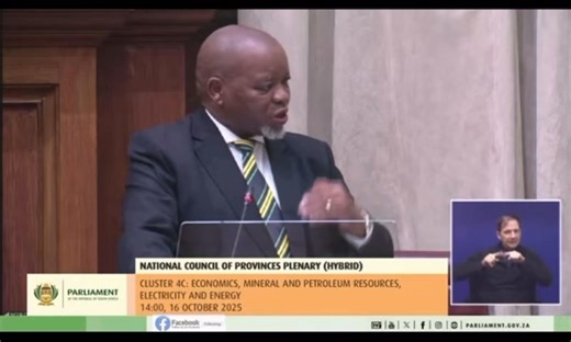 ♦️Must Watch♦️ EFF Member of the NCOP, Virgil Gericke posed a question to the Minister of Mineral and Petroleum Resources: Minister, given that South Africa is a mineral and oil rich country, and we have developed Petro SA and Sasol to supply locals with cheaper and affordable fuel. Yet, your department opts to export our products in order to earn foreign currency. Local production will give access to millions of consumers at cheaper prices. This will also exempt us from paying huge tariffs and 