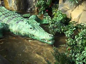 Rainforest Café Crocodile