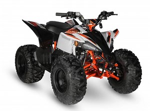 [Hot Item] 2022 New Raptor ATV 125cc Quad Bike 110cc 125