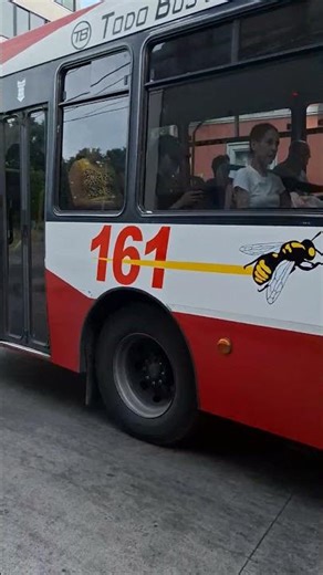 Linea 161 (int 1209) Modelo TB Pomeya 3