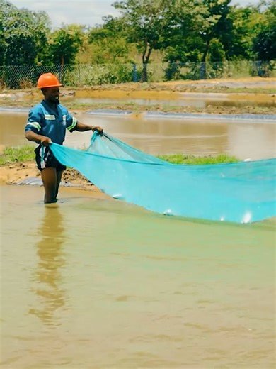 Building a Successful Fish Farm: Insights from an Accountant