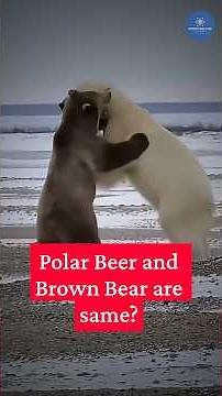 Polar Bears Were NOT Always White, Here's What Happened #shorts #upsc #currentaffairs