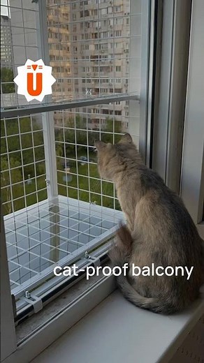 Two years ago, I built my cat a catio