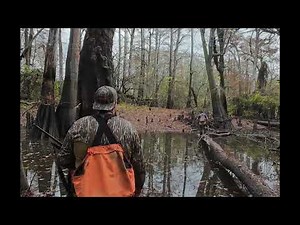 Arkansas squirrel hunt with dogs 11-22-25