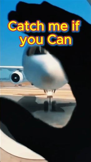 Catch Me if you Can ! #airplane #plane #crash #956studio #larrysbrusch #motivation #death