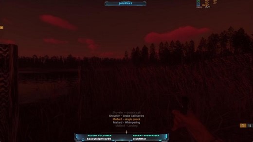 play a new realistic duck hunting game