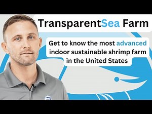 A look inside TransparentSea: The most advanced indoor sustainable shrimp farm in the United States