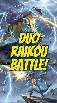 DUO! Raikou was CRASHED by Mega Garchomp EARTHQUAKE POWER!