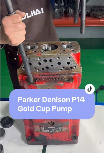 Parker Denison Gold Cup P14 Pump Repair #pump #hydraulicpump #pompa #parker #denison #factory #manufacturing #foryoupage #fyp