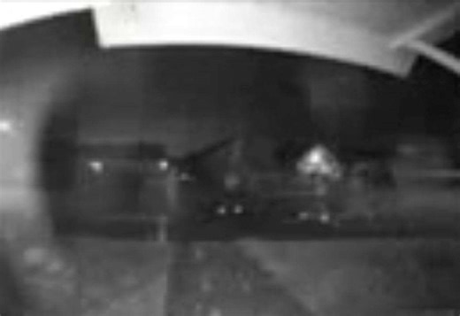 Video shows group laughing before hedgehog killed in ‘vicious’ attack