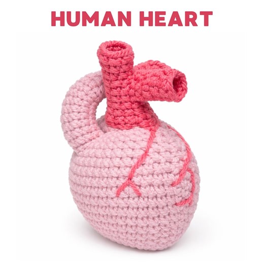 Realistic Human Heart Crochet Pattern PDF, Amigurumi Medical Science Tutorial (instant Download) - Etsy