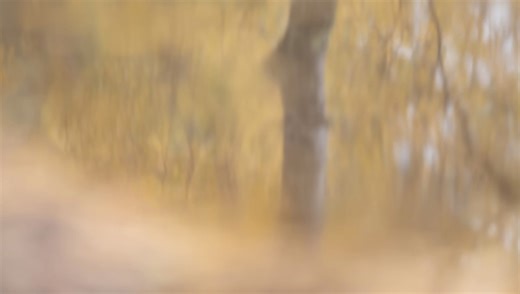 Three Steps to More Expressive Landscape Photography | Fstoppers