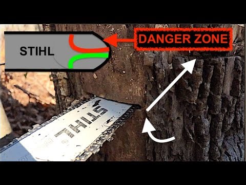 How to Bore Cut a Tree 🚧 Advanced Chainsaw Skills 🚧
