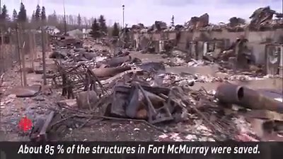 Fort McMurray's Beacon Hill, a once pleasant neighbourhood that borders the forest, has largely been reduced to charred grey ash: www.cbc.ca/1.3574271 | CBC News