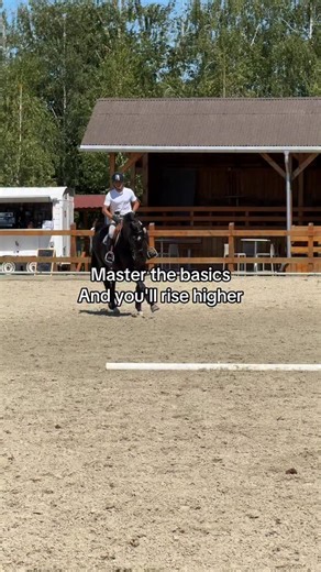 Every great rider once started here. 🐎 It’s not about speed — it’s about progress. 🐴 California Pan 🐴Casablanca Gold Pan 🐴 Ogano du Rouet 📸 @equi_team_for_sale 📞 40 793 228 482 | Equi Team Horses