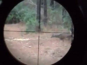 Nothing better than the excitement in a child's voice after their first successful hunt!! Allow iScope to Capture the memories! | IScope Optics