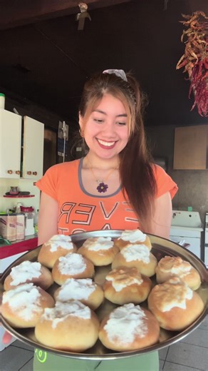 Vida Rural en Chile: Tractores y Agricultura