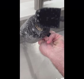 Ember Temperature Control Smart Mug 2, 10 oz, Copper, Up To 1.5-hr Battery Life - App Controlled Heated Coffee/Tea Mug - Improved Design